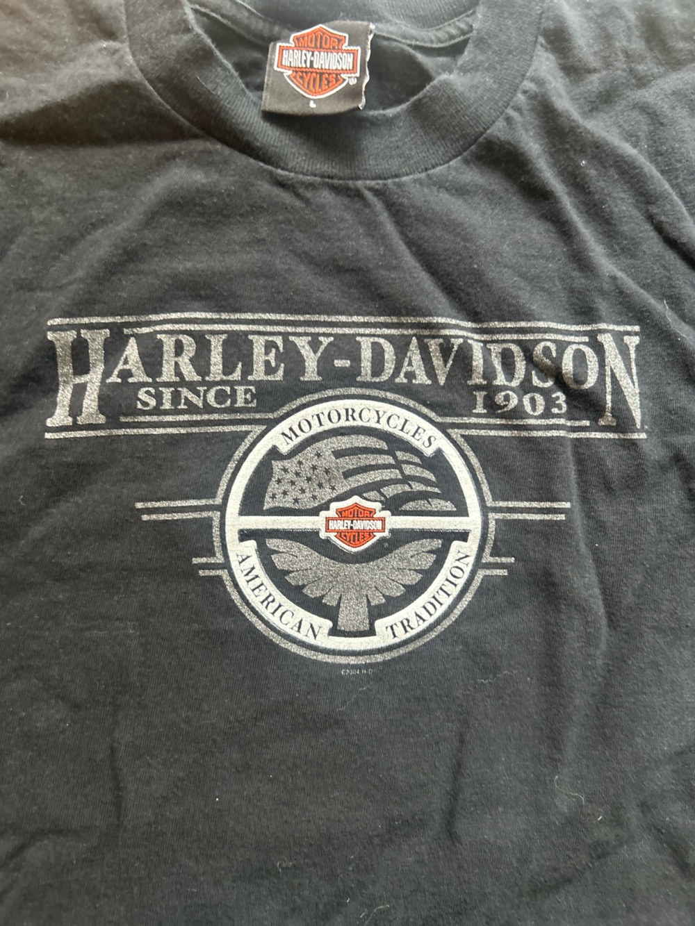 Harley-Davidson Black Short Sleeve Tee with Silver and Red Logo